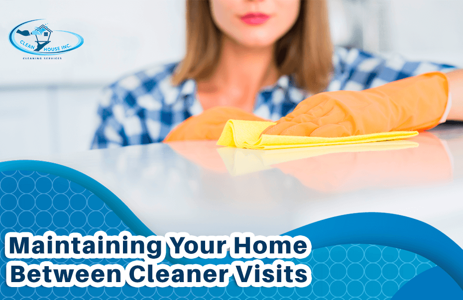 Cleaner Maintain Home