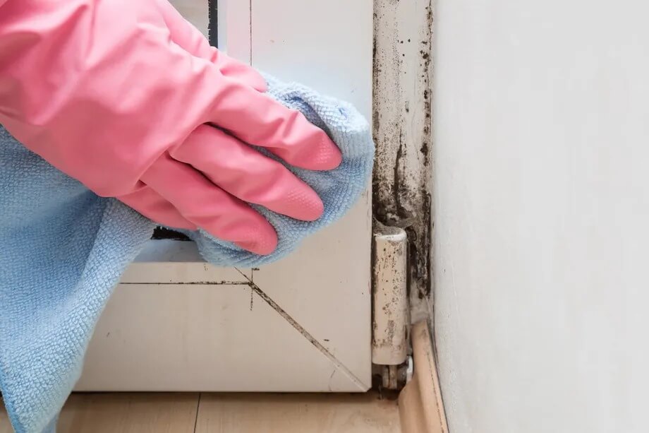 4 Easy Tips to Safely Clean Black Mold