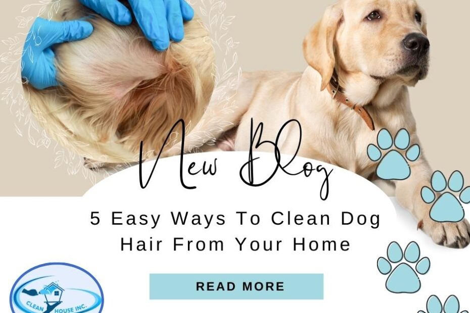 clean dog hair