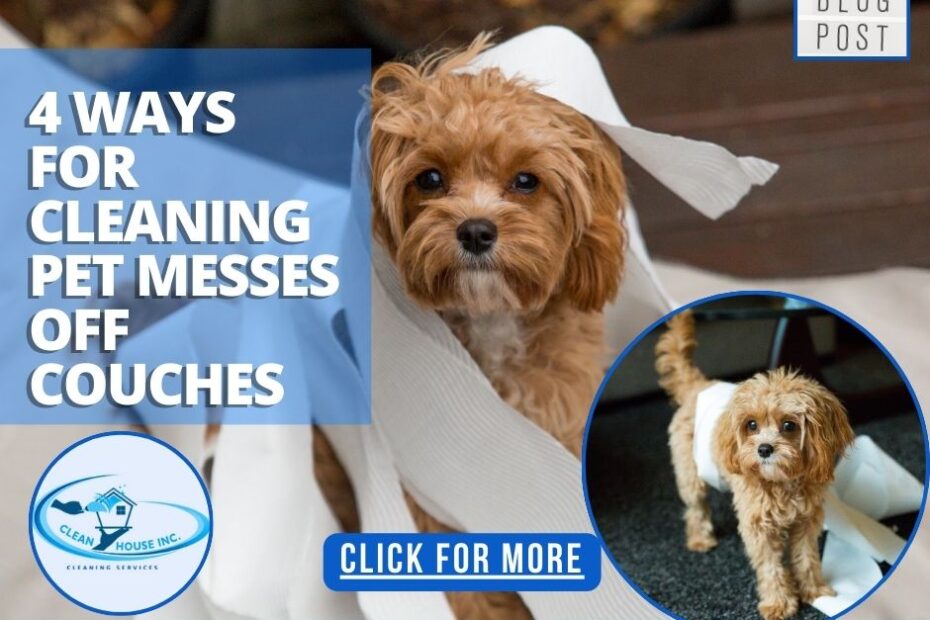 cleaning pet messes