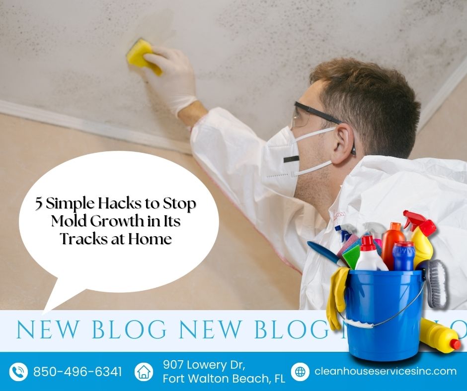 5 Simple Hacks to Stop Mold Growth in Its Tracks at Home