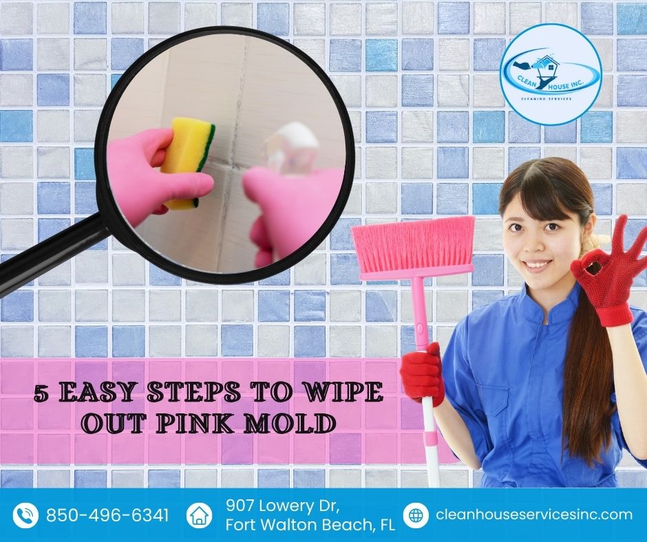5 Easy Steps To Wipe Out Pink Mold