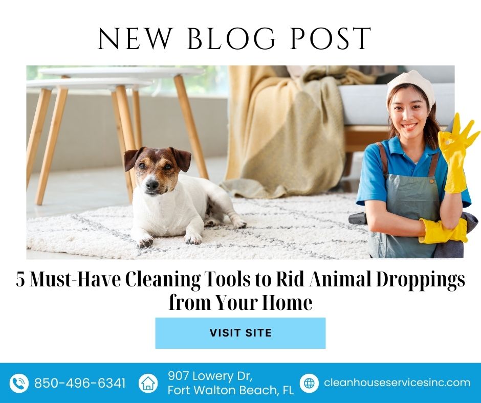 5 Must-Have Cleaning Tools to Rid Animal Droppings from Your Home